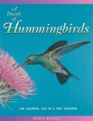 A Dazzle of Hummingbirds: The Colorful Life of a Tiny Scrapper de Bruce Berger