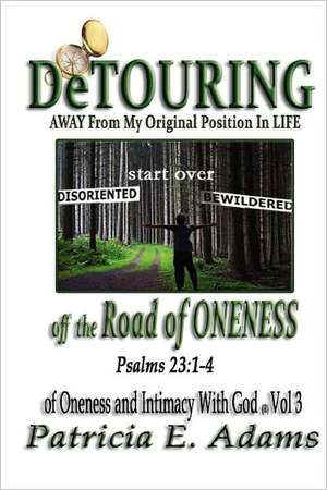 Detouring Off the Road of Oneness: From My Original Position of Oneness and Intimacy with God de Patricia E. Adams