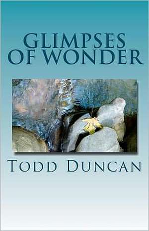 Glimpses of Wonder: The Power of Next de Todd Duncan