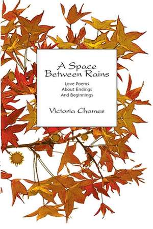 A Space Between Rains de Victoria Chames