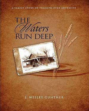 The Waters Run Deep: A Family Story of Triumph Over Adversity de J. Wesley Gunther