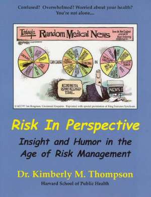 Risk in Perspective de Kimberly M. Thompson