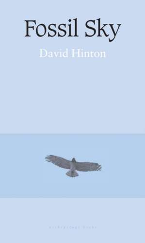 Fossil Sky de David Hinton