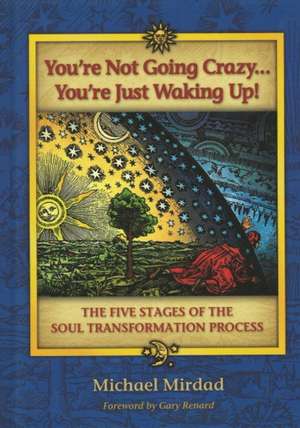 You're Not Going Crazy... You're Just Waking Up!: The Five Stages of the Soul Transformation Process de Michael Mirdad