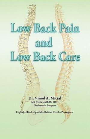 Low Back Pain and Low Back Care de Vinod A. Mittal