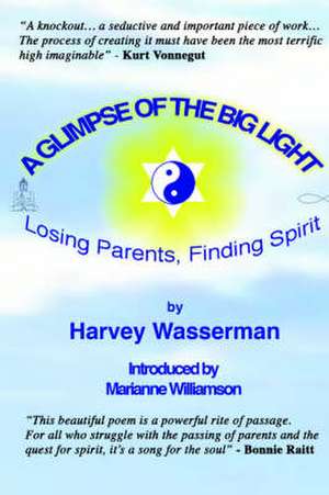 A Glimpse of the Big Light: Losing Parents, Finding Spirit de Harvey Wasserman