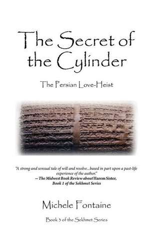 The Secret of the Cylinder de Michele B Fontaine