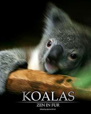 Koalas: Zen in Fur, Bw Edition de Joanne Ehrich