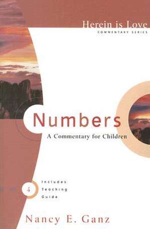 Numbers: A Commentary for Children de Nancy Ganz