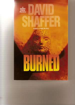 Burned de David Shaffer