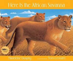 Here Is the African Savanna de Madeleine Dunphy