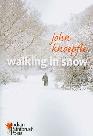 Walking in Snow de John Knoepfle