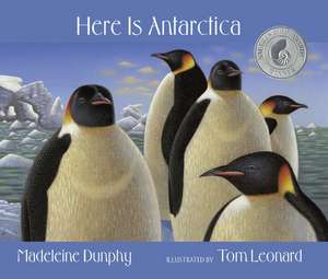 Here Is Antarctica de Madeleine Dunphy