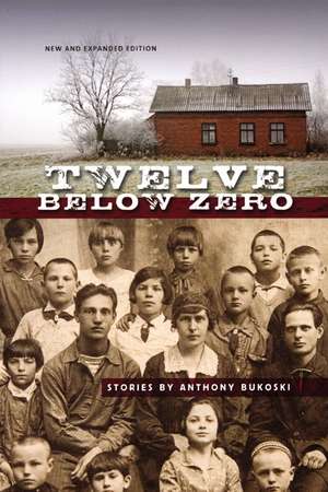 Twelve Below Zero: New and Expanded Edition de Anthony Bukoski