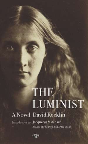 The Luminist de David Rocklin