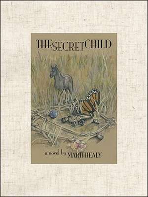 The Secret Child de Marti Healy