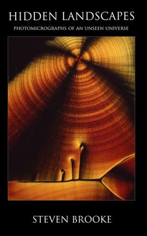 Hidden Landscapes de Steven Brooke