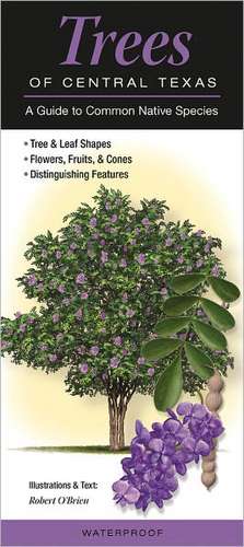 Trees of Central Texas: A Guide to Common Native Species de Robert O'Brian