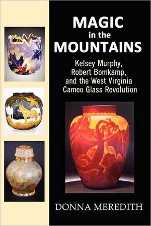 Magic in the Mountains de Donna Meredith