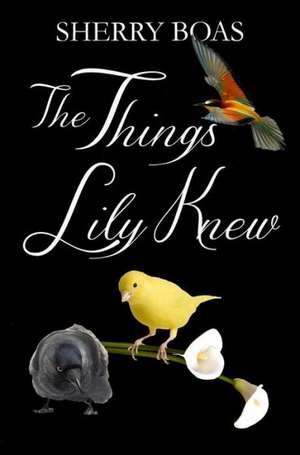 The Things Lily Knew: Rosary Meditations for Moms de Sherry Boas