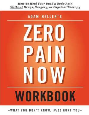 Adam Heller's Zero Pain Now Workbook: Stories and a Novella de Adam Heller