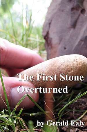 The First Stone Overturned: Traditional Chinese Medicine, Western Science, and the Search for a Cure de Gerald Ealy