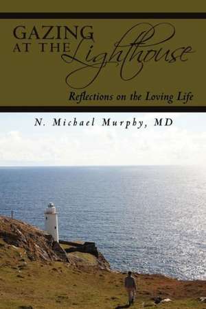 Gazing at the Lighthouse: Crucial Success Habits School Never Taught You de N. Michael Murphy MD