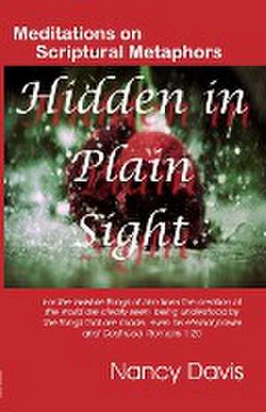 Hidden in Plain Sight de Nancy Davis