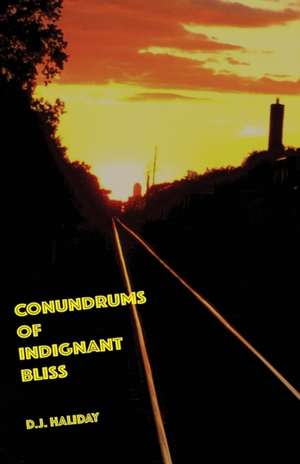 Conundrums of Indignant Bliss de D. J. Haliday