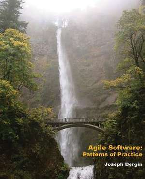 Agile Software de Joseph Bergin