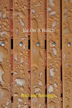 Ice on a Bench de Richard Jennings Jr