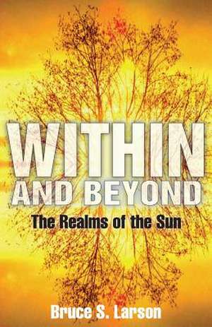 Within and Beyond de Bruce S. Larson