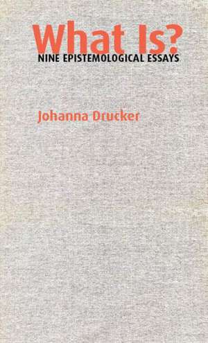 What Is?: Nine Epistemological Essays de Johanna Drucker