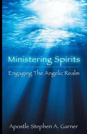 Ministering Spirits de Stephen a. Garner