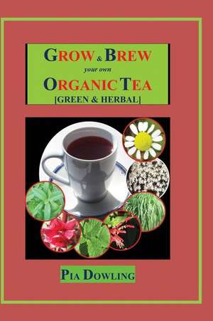 Grow & Brew Your Own Organic Tea