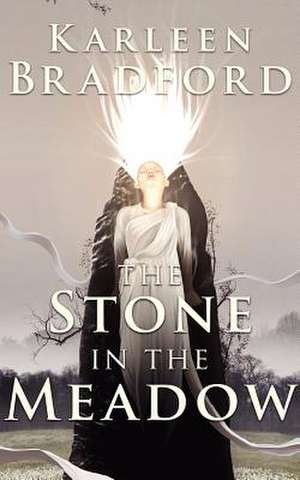 The Stone in the Meadow de Karleen Bradford