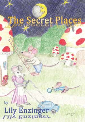 The Secret Places de Lily Enzinger