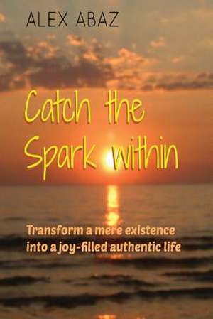 Catch the Spark Within de Alex Abaz