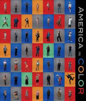 Brian Dailey: America in Color de Wendy Grossman