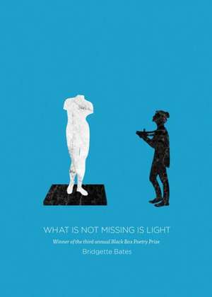 What Is Not Missing Is Light de Bridgette Bates