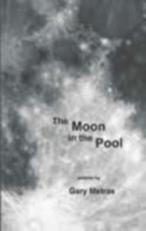 Moon in the Pool de Gary Metras