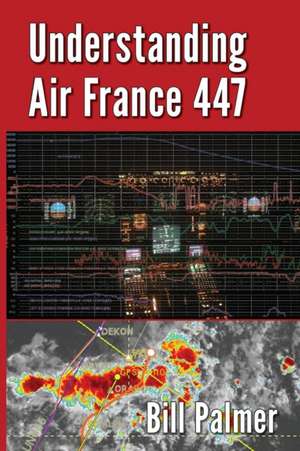 Understanding Air France 447 de Bill Palmer