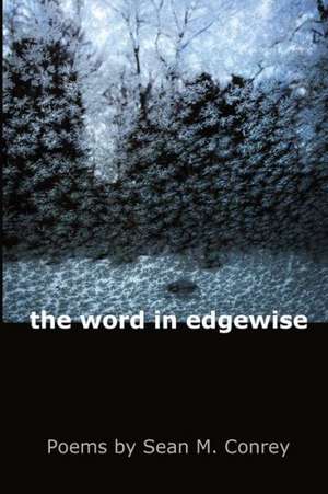 The Word in Edgewise: A True Tale of God, Ghosts and a Skeptical Christian de Sean M. Conrey