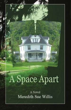 A Space Apart de Meredith Sue Willis