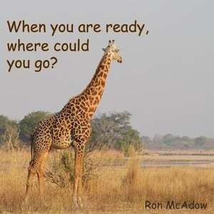 When you are ready, where could you go? de Ron McAdow