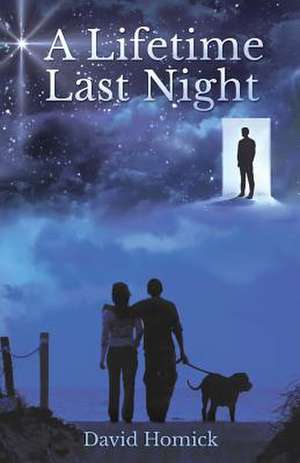 A Lifetime Last Night de David Homick