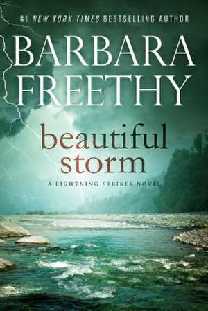 Beautiful Storm de Barbara Freethy