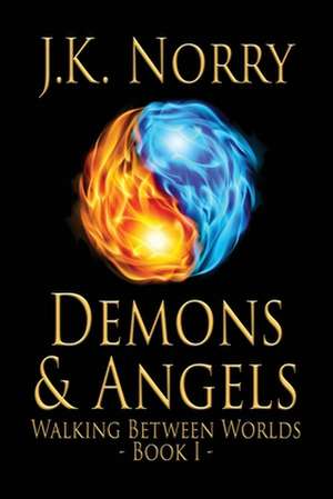 Demons & Angels de J. K. Norry