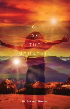 Light on the Mountain de Dr Stewart Bitkoff