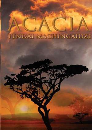 Acacia de Tendai Machingaidze